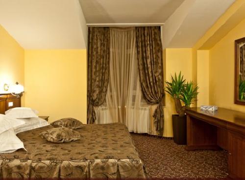 upload/176_TRATAMENT-SI-RECUPERARE-Hotel-Dorna-4-Vatra-Dornei-6.jpg