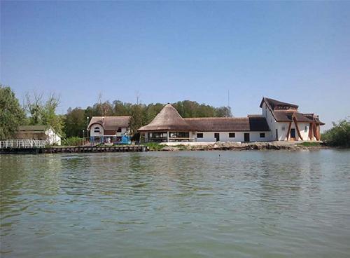 upload/184_Cormoran9.jpg