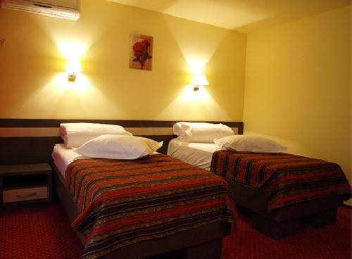 upload/199_Tratament--Amara-Hotel-Diana4.jpg