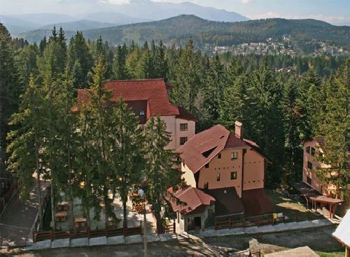 upload/233_OFERTA--MUNTE-Hotel-Eden-3--Brasov,-Predeal-_9.jpg