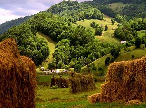 upload/266_Senior-Voyage-Maramures3.jpg