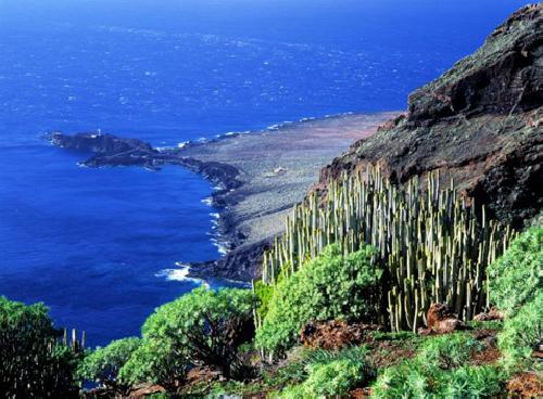 upload/305_Tenerife-Travel-Senior-4.jpg
