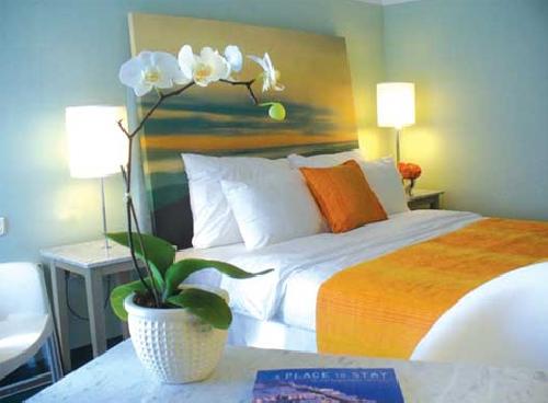 upload/337_Apartament-Residence-Mediterraneo-5.jpg