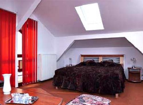 upload/339_Hotel-Alexandros-3-Busteni-4.jpg