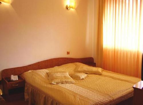 upload/339_Hotel-Alexandros-3-Busteni-5bis.jpg